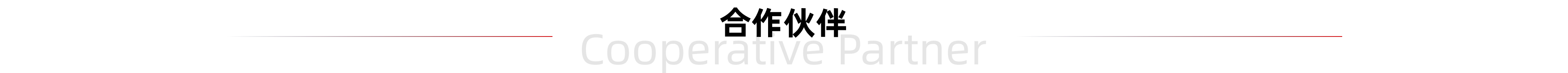 合作伙伴标题图